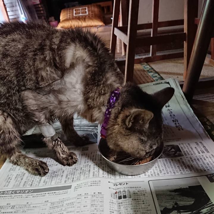 46b00031 1c56 40aa af13 ab6d0bcc390c 1598006118752