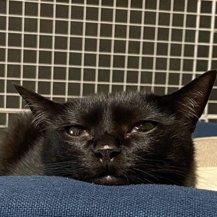 46b0a7c0 56d1 4522 b6b5 c4eb9f0532fd 1688986772508