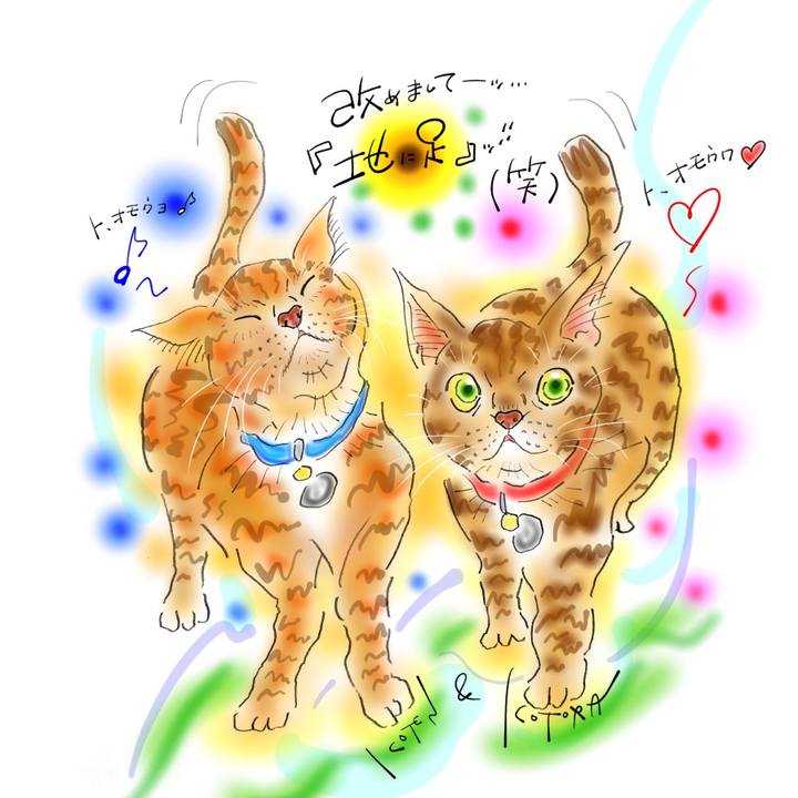 46b0dcda f7a4 459a 897a 0145dcd3c6b6 1615849052832