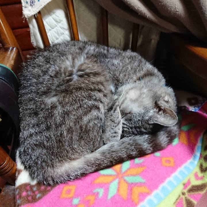 46b0e8e7 8845 45f1 b430 f974d1025442 1571576401735