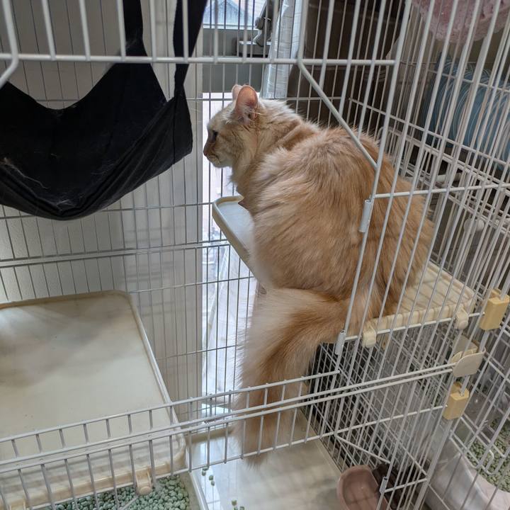 46b11dbf 3c55 4cff b42e e06bf39348e2 1727933686317