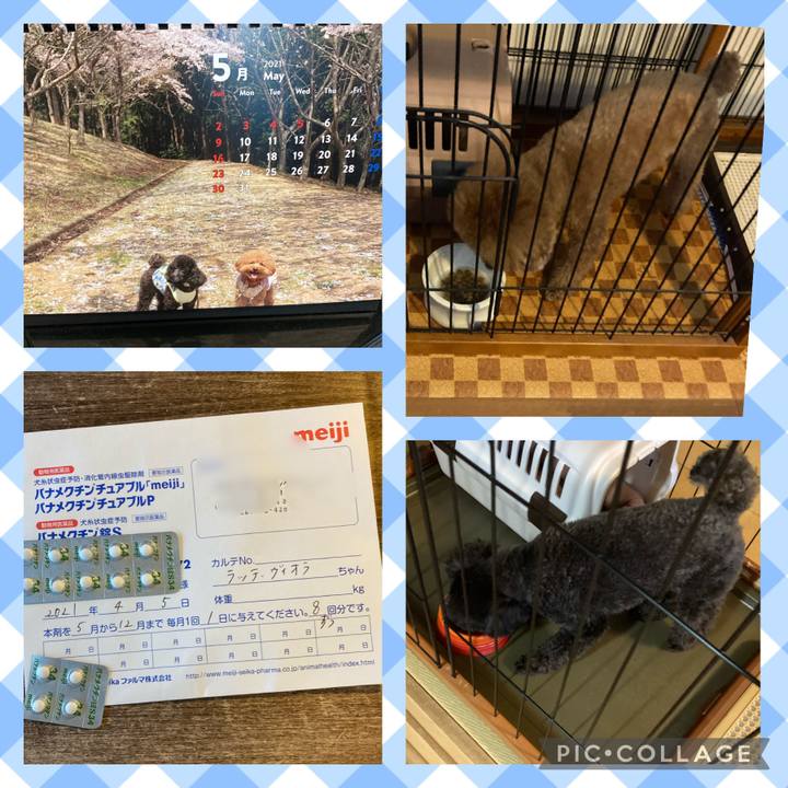 46b11eb3 54b4 4b00 b2b0 492b316e0695 1619817216021