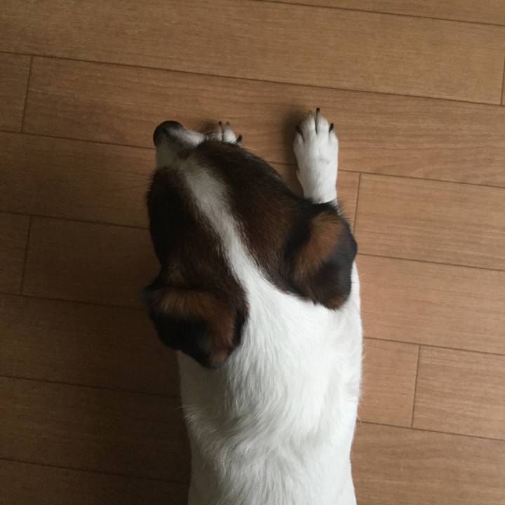 46b122f4 bfe0 47e3 b0d0 7b0ef21c2c24 1529109373893