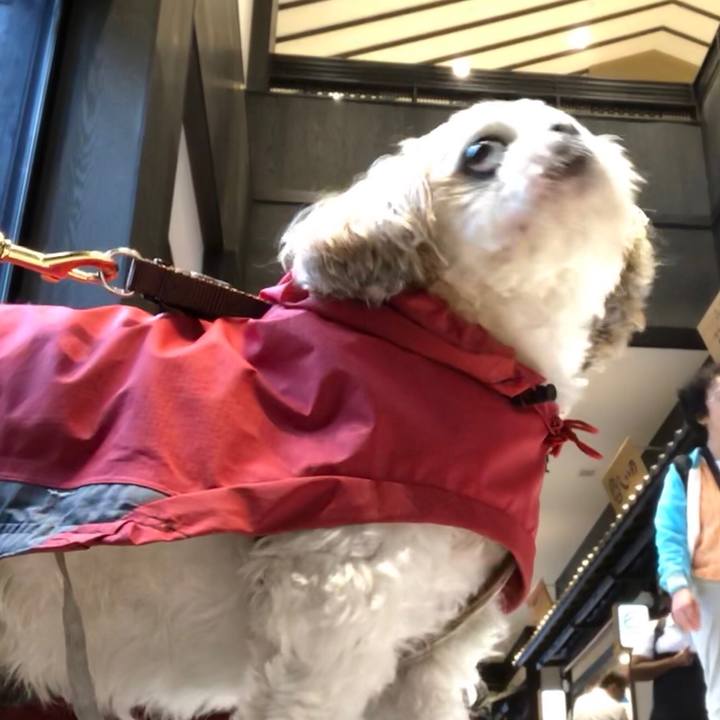 46b1401e c6ec 48d3 b3e2 9794094e0b11 1537911656289