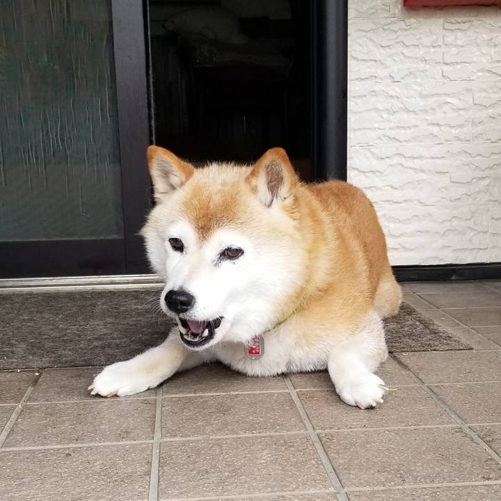 46b14f92 6696 420b 94ad e98fc0457990 1689120615132