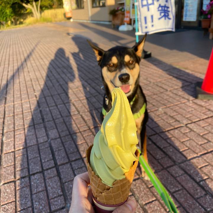 46b156a3 d88c 4a7f 98fb 3d7f95324e3f 1637328714079