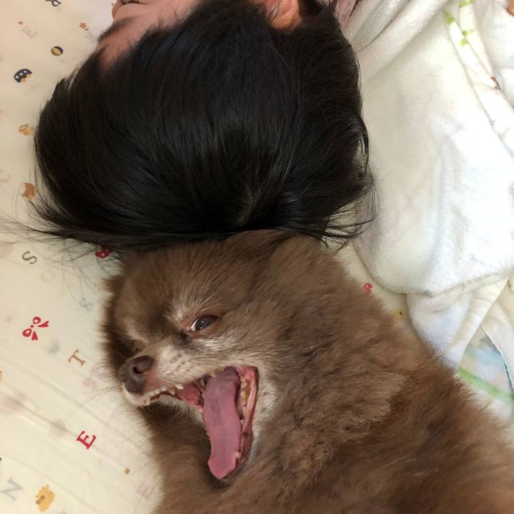 46b1579a d9e4 4c94 a166 56378bbd7332 1560029122160