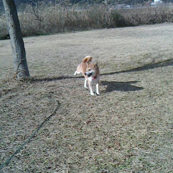 46b15eb2 bd45 49fd 9e96 ee64fac64d0e 1515662600218