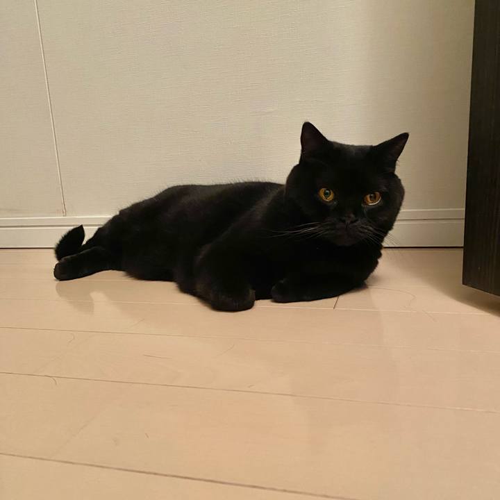 46b16f3b 1c86 42d8 8f03 126fa1b15fcb 1730812158270