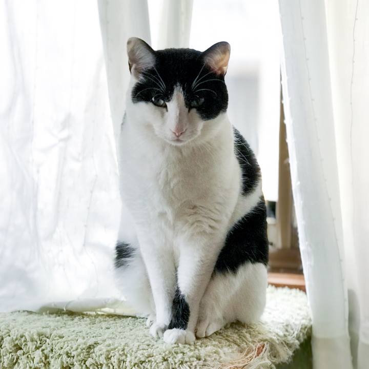 46b1a166 0446 4f28 8f27 a7a2d66c45e3 1519397418597