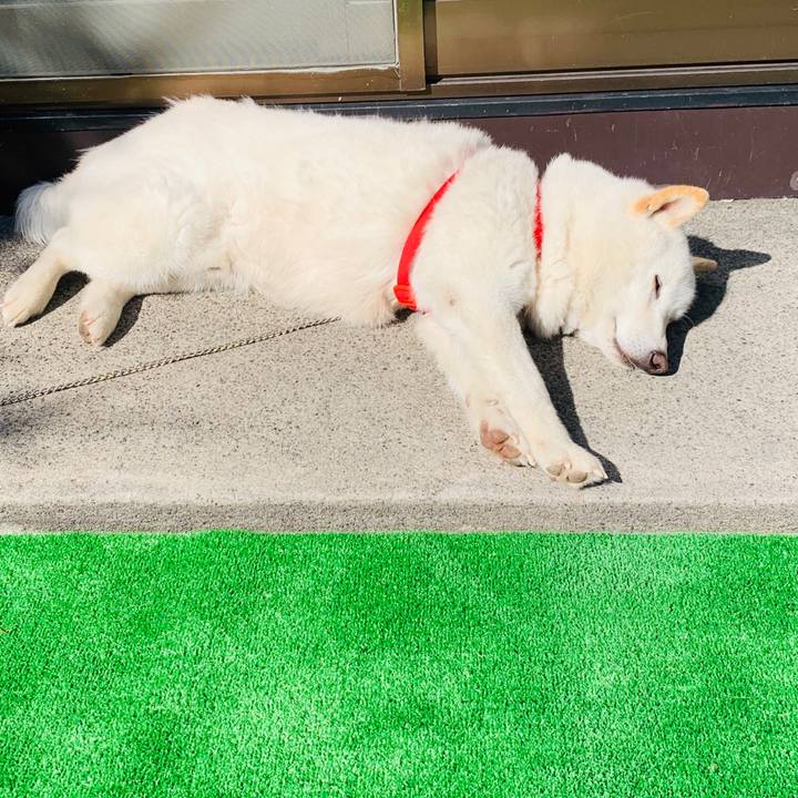 46b1a3e5 e54c 4888 9b0c d41b91886e15 1585892383535