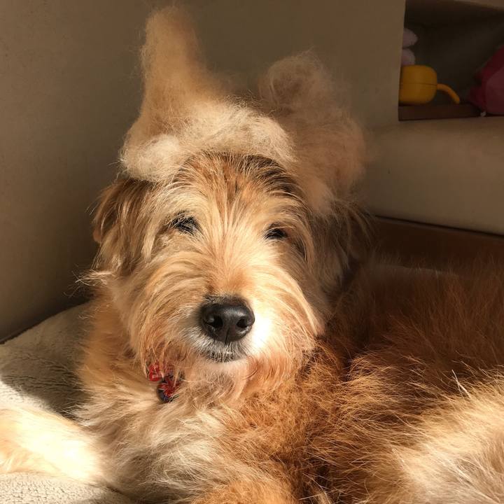 46b1c3aa c05e 4966 9117 73d99d0f6ff1 1613775956632