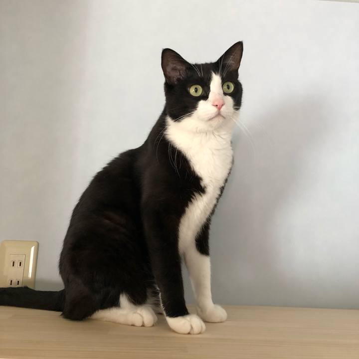 46b1d05e 1888 4423 8ae7 587139b0a56d 1552806726362