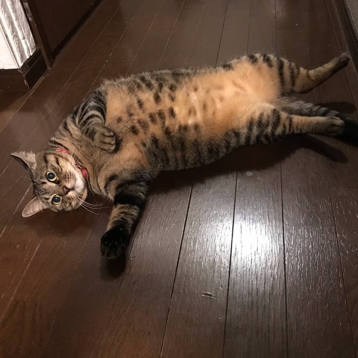 46b1da2b 49bd 4e1c aed7 eb984bb0ed45 1569591626211