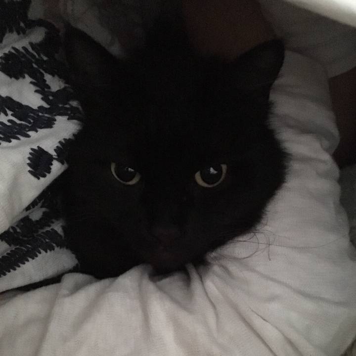 46b1f09a 9db1 4fbc 9b5f 9cad58a1bd3a 1518401292052