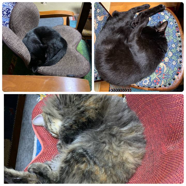 46b22581 6ffa 4252 ae2e 1b6847a73868 1661936855030