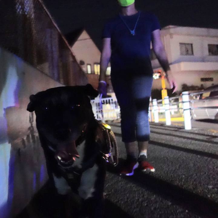 46b274cd f709 403b a3e4 e5161e7701fc 1663064932759