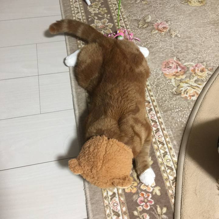 46b296a6 e807 4f16 a75a b4acbe9664c6 1538308713093