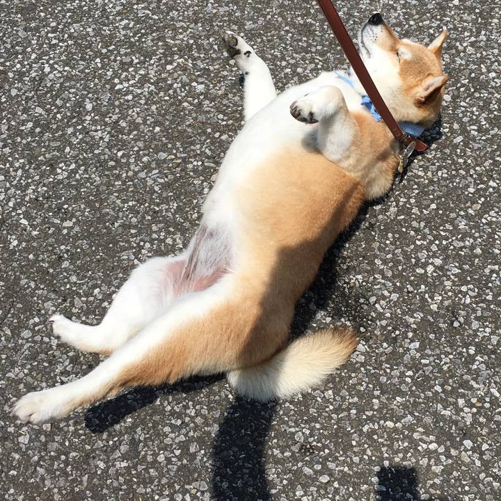 46b2a2df d425 4341 956c a3bec9dbfac8 1560915066857