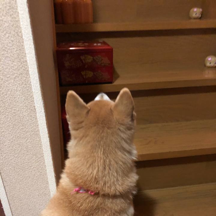 46b2da25 21a7 4cae afe7 958667e2e75c 1577799763809