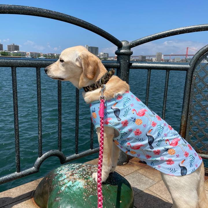 46b2e7b2 fed6 405b 91b9 a273e5b1bab4 1621704490986