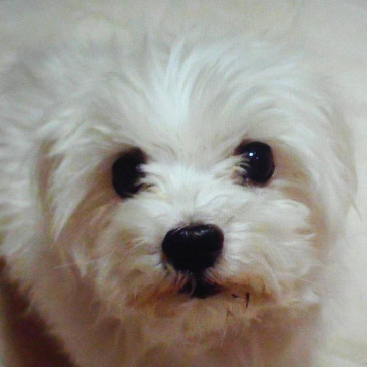 46b3234c 9d98 4b03 8907 e3524f310fcc 1508033574999