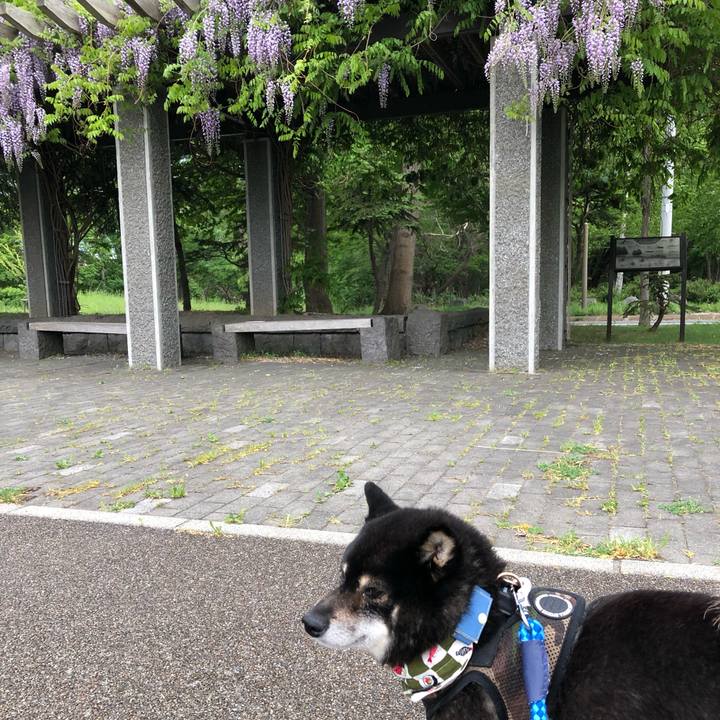 46b325d3 a787 4c30 afbe 087d58489312 1559122983983