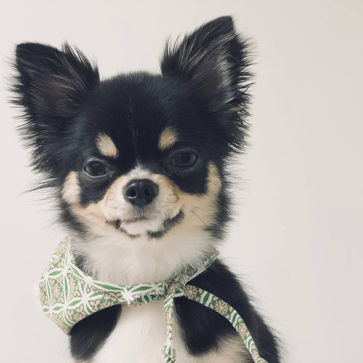 46b35fa3 b5dd 4e5d 9348 9939204b12ce 1552573298290