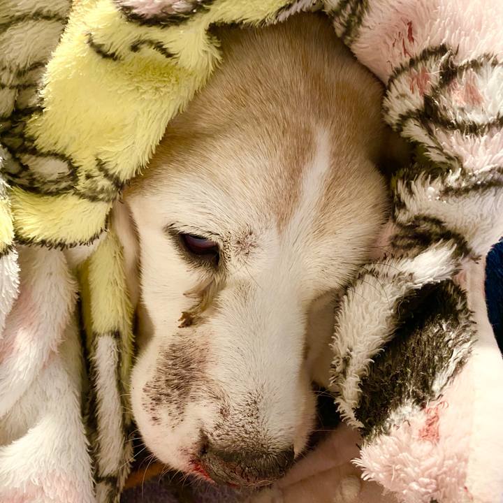 46b36273 b7ab 431e ac7a 82ff43f0a308 1671283654736