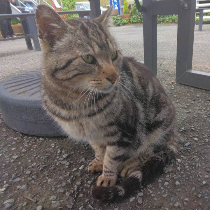 46b369e5 f50f 4f7d 9d21 a1944b701fae 1680947380706