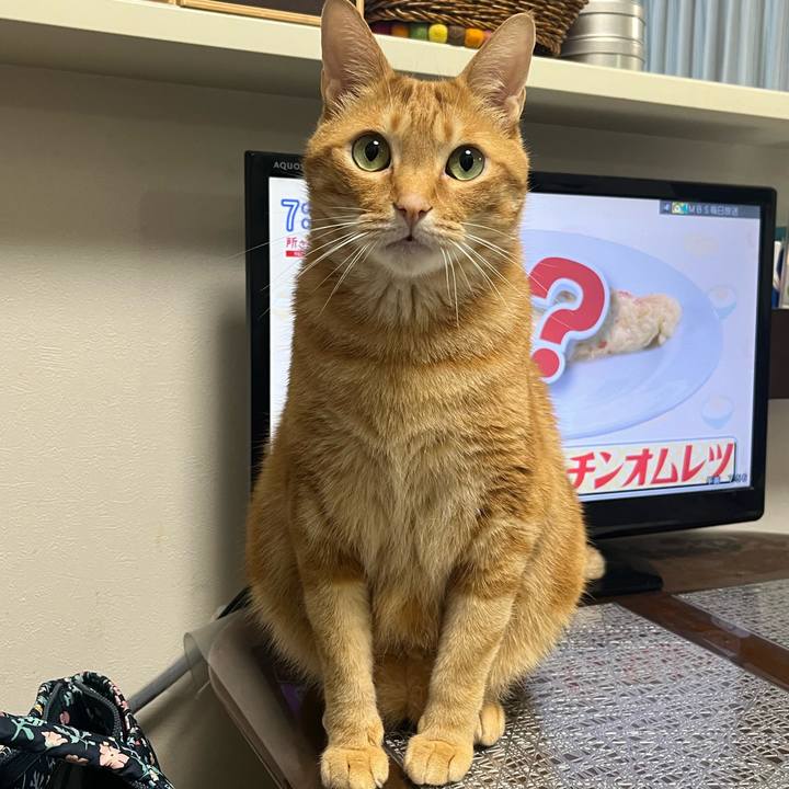 46b37937 2fbd 4467 9d58 1b8b13c3c5f9 1652483276360