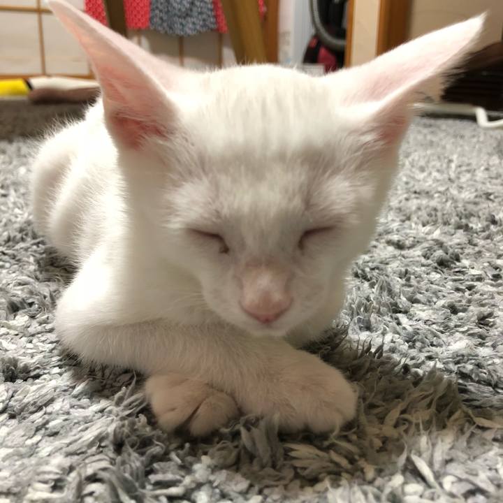 46b3da8f 0c59 46e3 9a5b d741953e1bf5 1533219058303