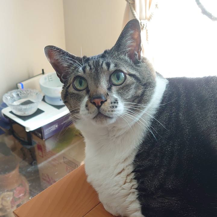 46b3ee83 f398 47d4 b069 d1be94e71a5f 1614570817146