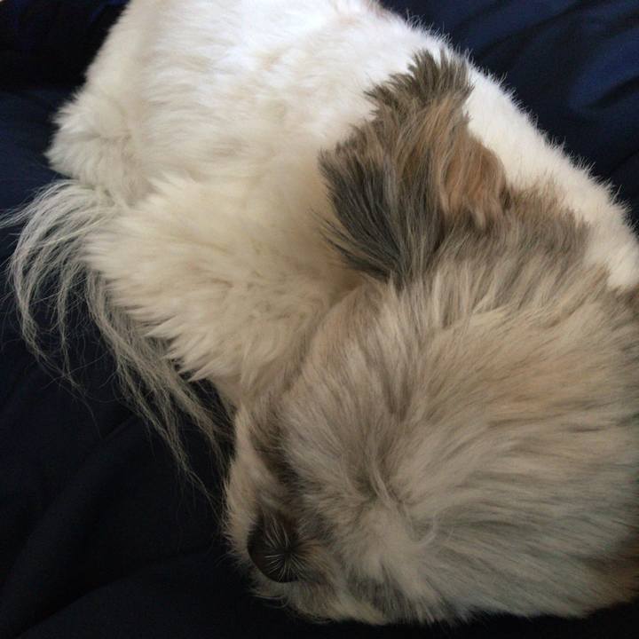 46b40863 ee43 438f ada4 fa7f7b242c57 1521095571904