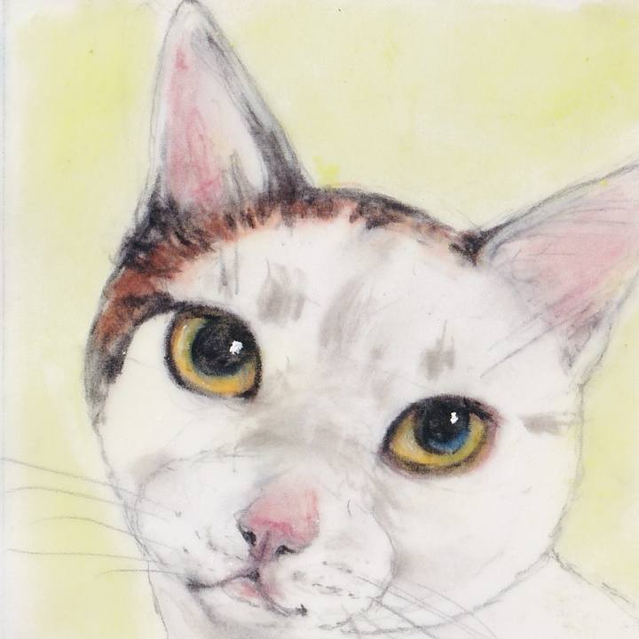 46b4242c 44e6 4b83 b2b2 aa45ddeb6874 1744591190396