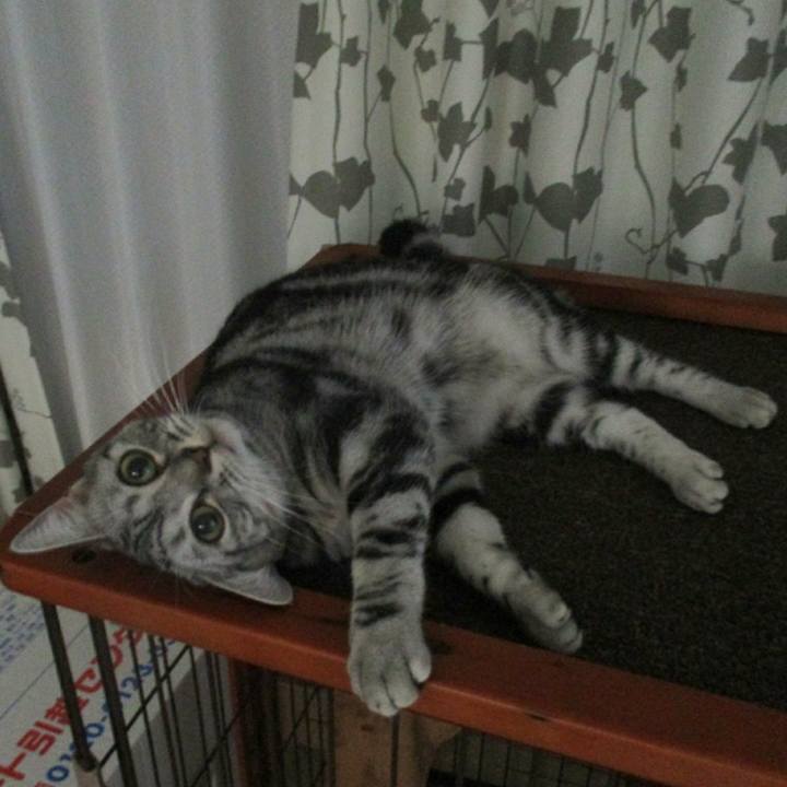 46b427ba 570e 44c8 8a9f 6c5312202e79 1566094221360