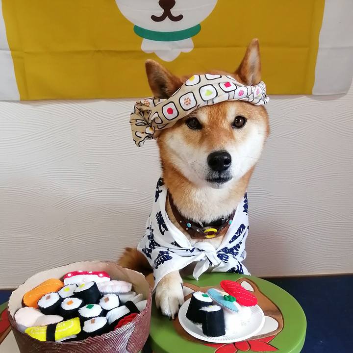 46b4412a 7834 4b99 9673 c4d4d98541b1 1588148862866