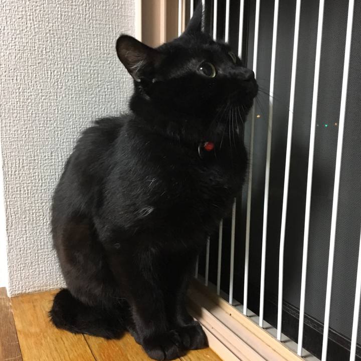 46b4463e 5ac9 423d 9579 6f0bce117bdf 1534421019616