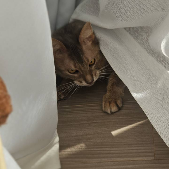 46b48a7a e47e 4a76 99b6 8baf4e428abd 1773204551607