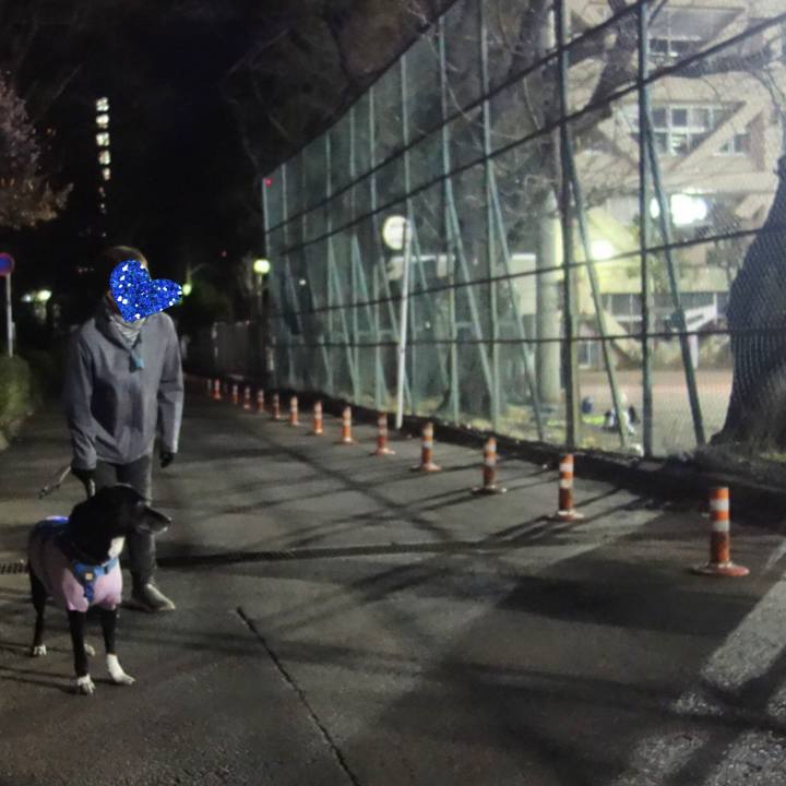 46b498ca 3ad6 4343 a1b2 b5332283b0a1 1674904425979