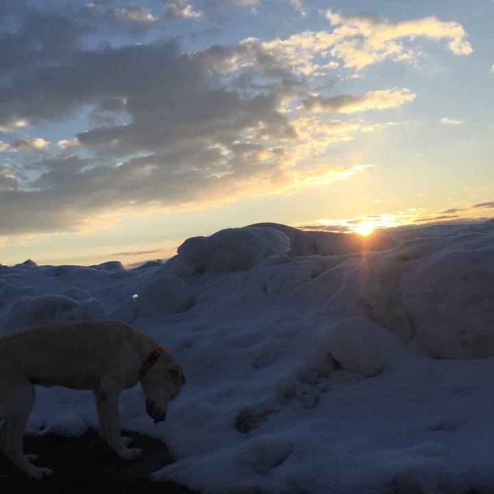 46b49a98 2501 4099 a37c c393b7213818 1519337217237