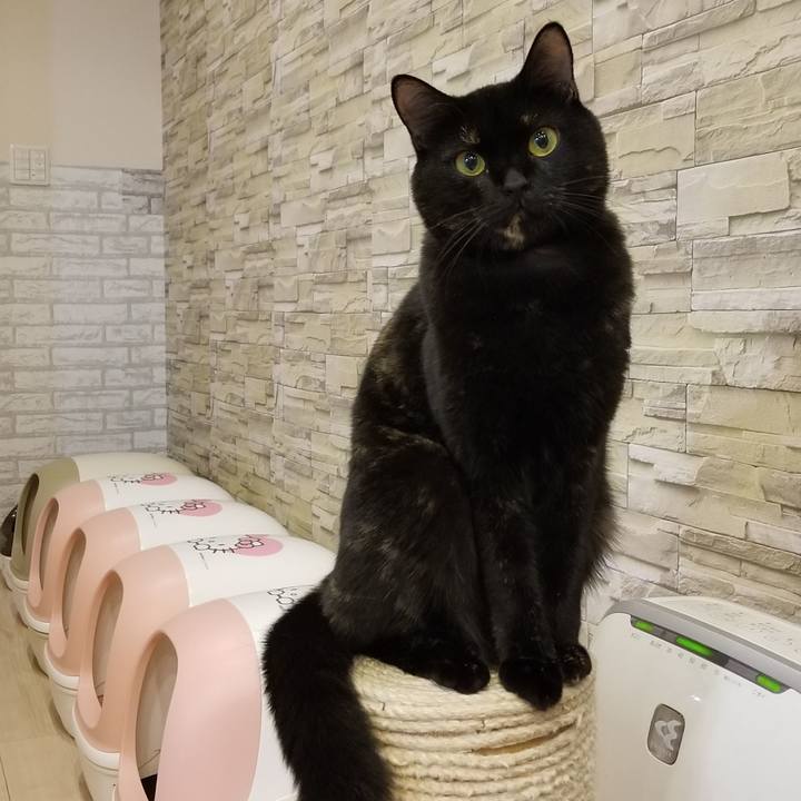 46b4abe2 6ebf 4051 be89 ee8dc87e7d3f 1534512198667