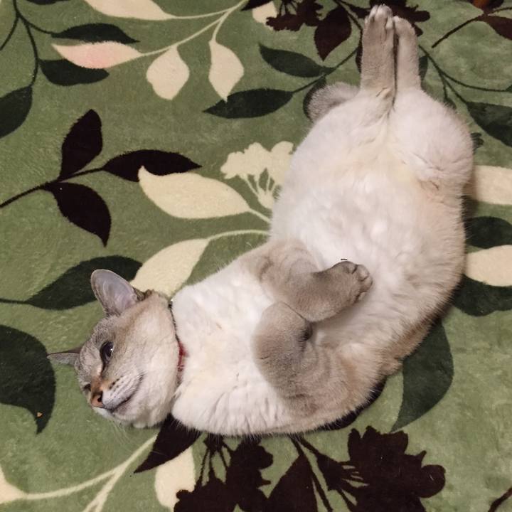 46b4d0ab 3fe5 45c0 ae13 e4eb739f212d 1581803586169