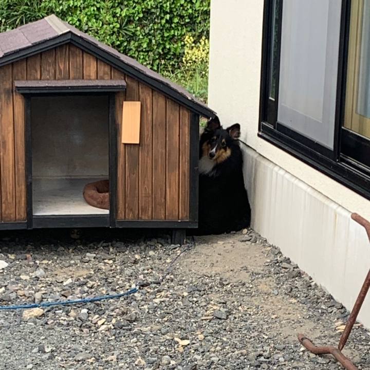 46b4d4ea 68ee 4c8d bd69 8b14c8250d69 1558304823297