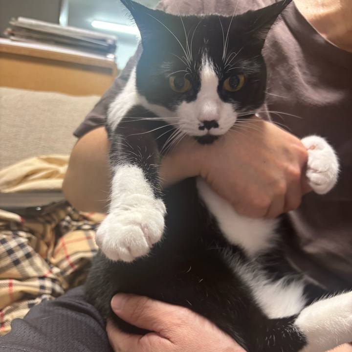 46b4dd3c 22b8 4af1 a349 8571d2400832 1762829526245