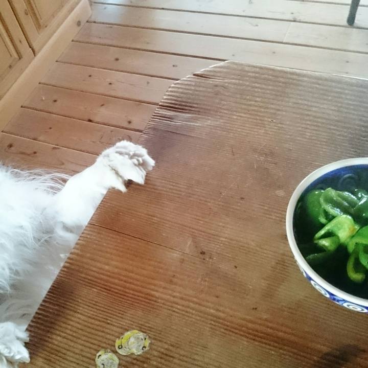 46b4dd44 7ef8 4cde 91b5 58e9b64a7f9a 1559510957129