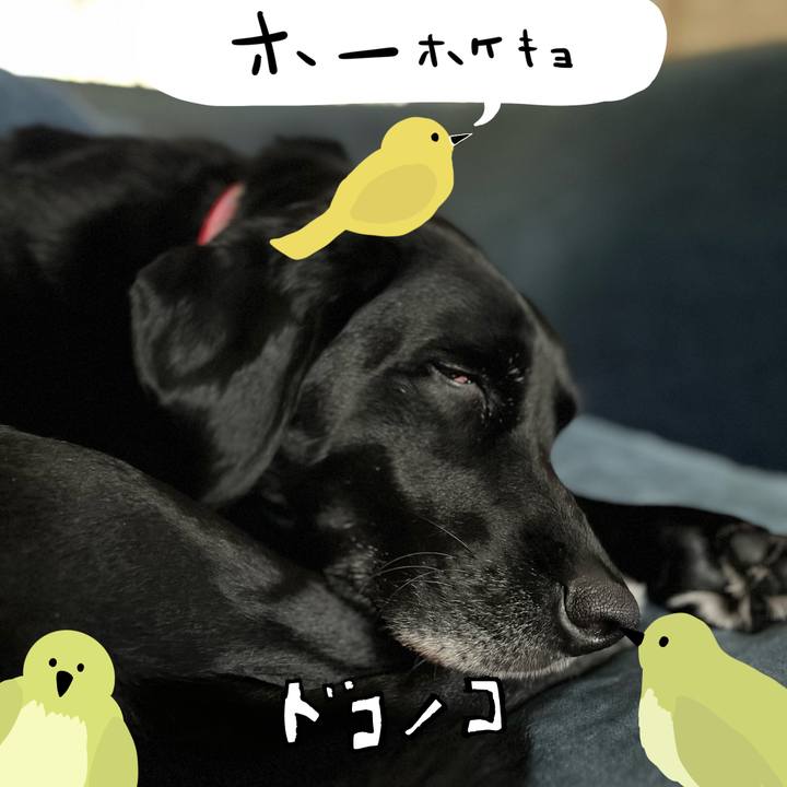 46b51abb cc5b 4218 8b78 f922e1dbd5b4 1710986694894