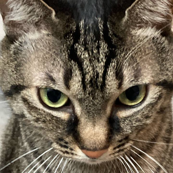 46b520af dc59 4f70 81af 0597978fa6b9 1637539605928