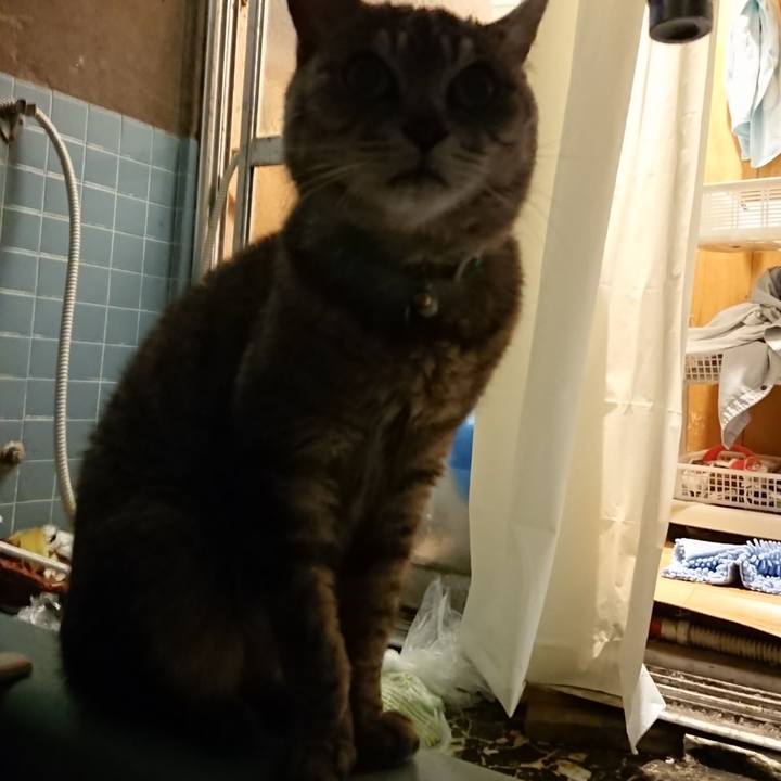 46b53f34 b48b 4e10 93ba 135b0c9fdc13 1563879605725