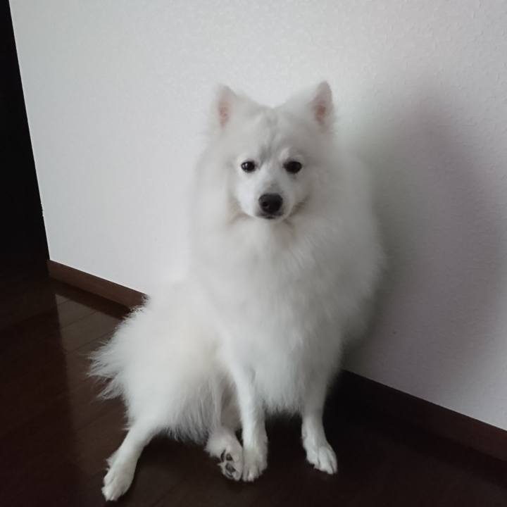 46b5542d 2dc9 44e6 8fb8 a53000bbe2ae 1561955268808